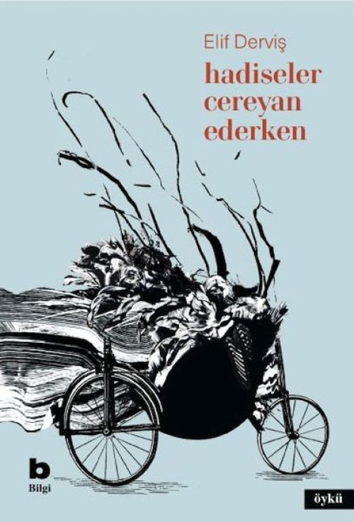 Hadiseler Cereyan Ederken Hadiseler Cereyan Ederken