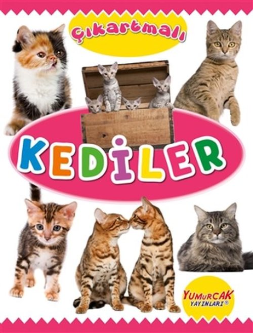Çıkartmalı Kediler Çıkartmalı Kediler