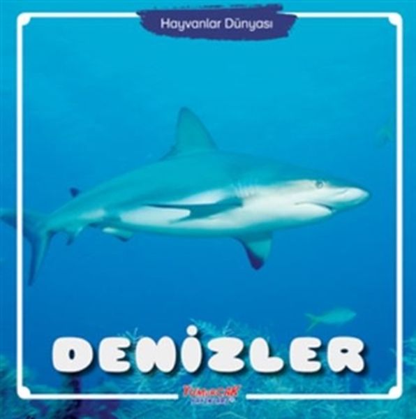 Denizler - Hayvanlar Dünyası Denizler - Hayvanlar Dünyası