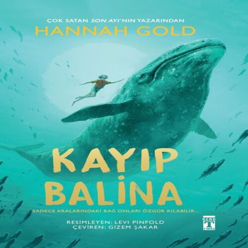 Kayıp Balina Kayıp Balina