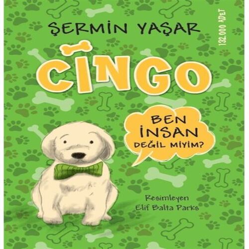 Cingo Cingo