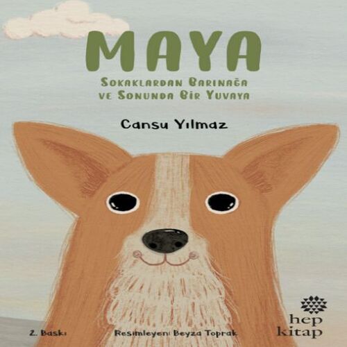 Maya - Sokaklardan Barınağa ve Sonunda Bir Yuvaya Maya - Sokaklardan Barınağa ve Sonunda Bir Yuvaya