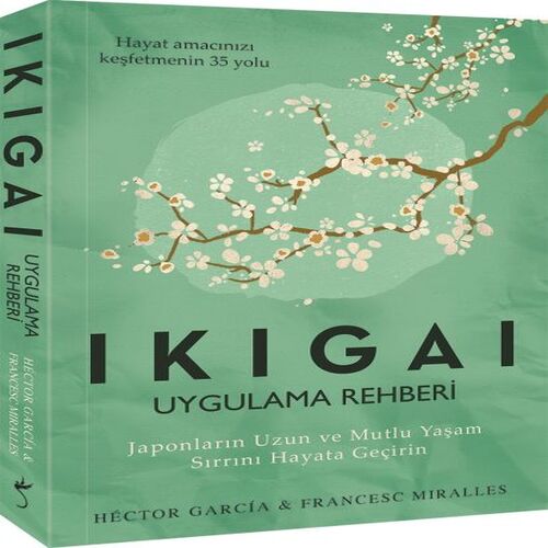Ikigai Uygulama Rehberi Ikigai Uygulama Rehberi