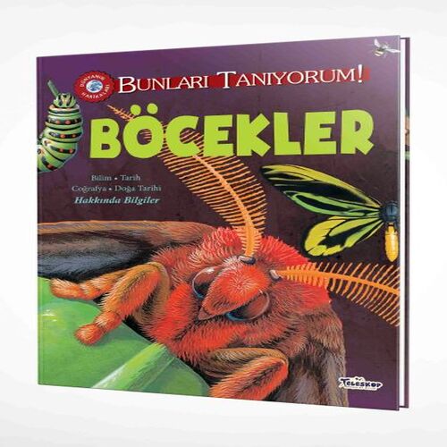 Bunları Tanıyorum! - Böcekler Bunları Tanıyorum! - Böcekler