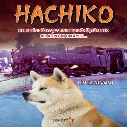 Hachiko Hachiko