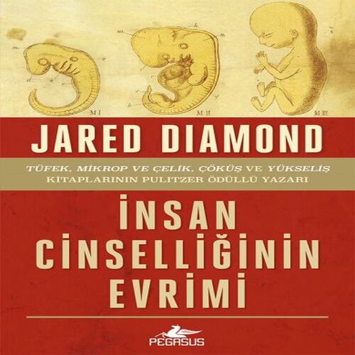 İnsan Cinselliğinin Evrimi - Ciltsiz İnsan Cinselliğinin Evrimi - Ciltsiz