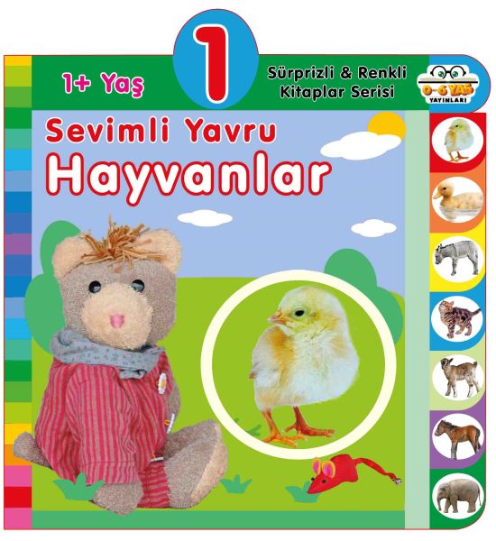Yaş Sevimli Yavru Hayvanlar (1+Yaş) Yaş Sevimli Yavru Hayvanlar (1+Yaş)