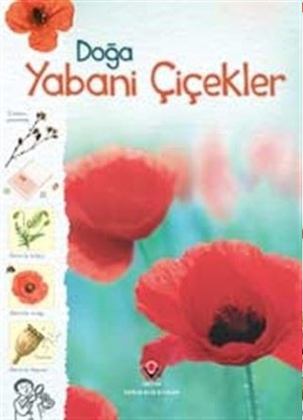 Doğa-Yabani Çiçekler Doğa-Yabani Çiçekler