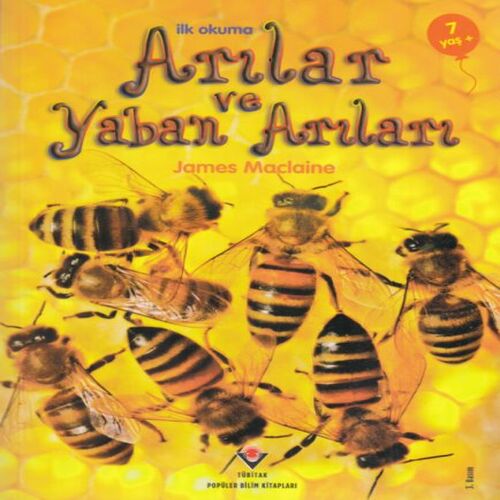 İlk Okuma - Arılar ve Yaban Arıları İlk Okuma - Arılar ve Yaban Arıları