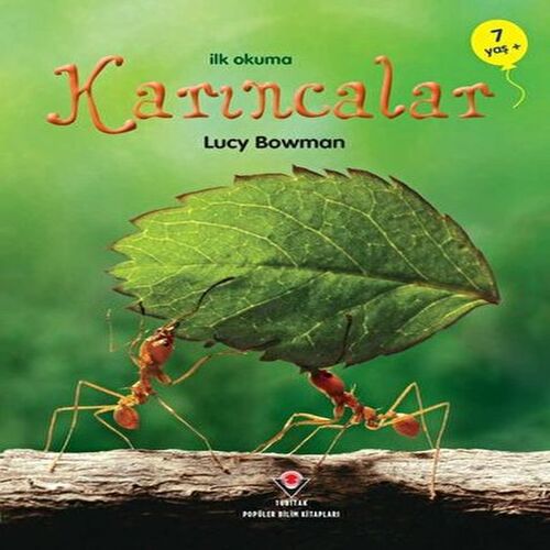 İlk Okuma - Karıncalar İlk Okuma - Karıncalar