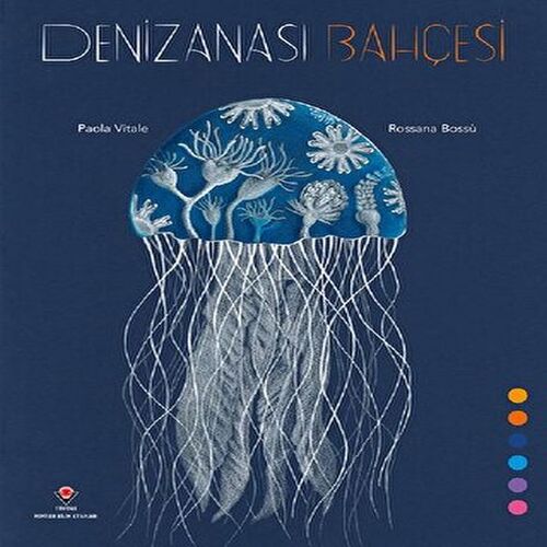 Denizanası Bahçesi Denizanası Bahçesi