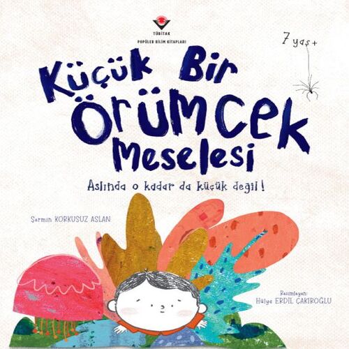 Küçük Bir Örümcek Meselesi Küçük Bir Örümcek Meselesi