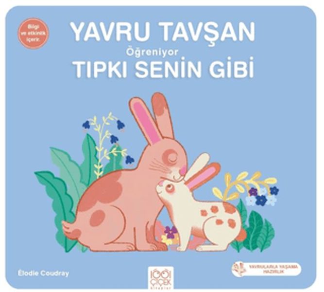 Yavru Tavşan Öğreniyor Tıpkı Senin Gibi Yavru Tavşan Öğreniyor Tıpkı Senin Gibi