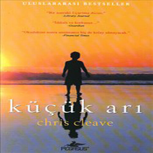 Küçük Arı Küçük Arı