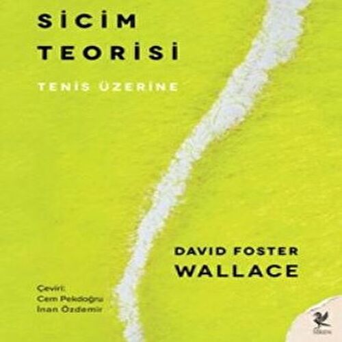 Sicim Teorisi Sicim Teorisi