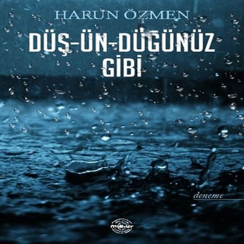 Düş-Ün-Düğünüz Gibi Düş-Ün-Düğünüz Gibi