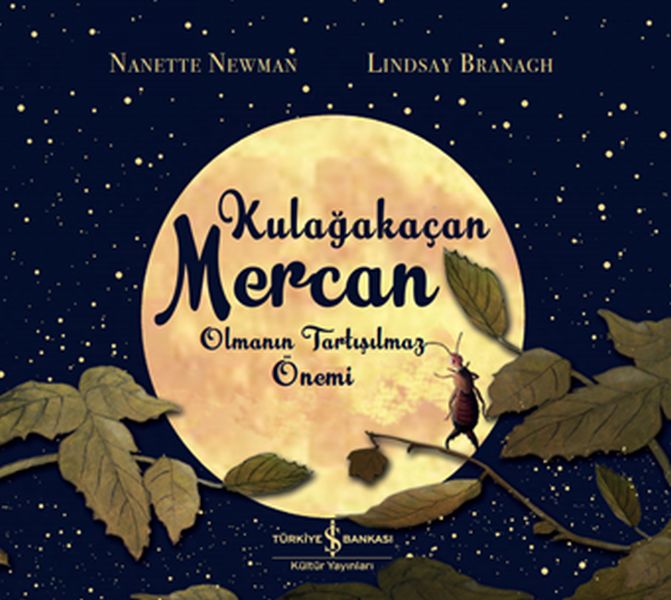 Kulağakaçan Mercan Olmanın Tartışılmaz Önemi Kulağakaçan Mercan Olmanın Tartışılmaz Önemi