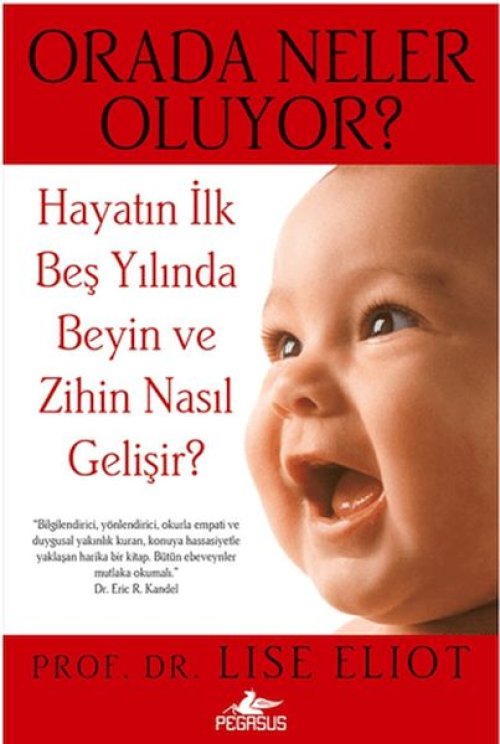 Orada Neler Oluyor Orada Neler Oluyor