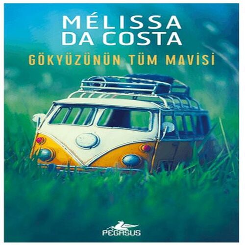 Gökyüzünün Tüm Mavisi Gökyüzünün Tüm Mavisi