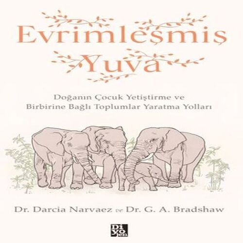 Evrimleşmiş Yuva Evrimleşmiş Yuva