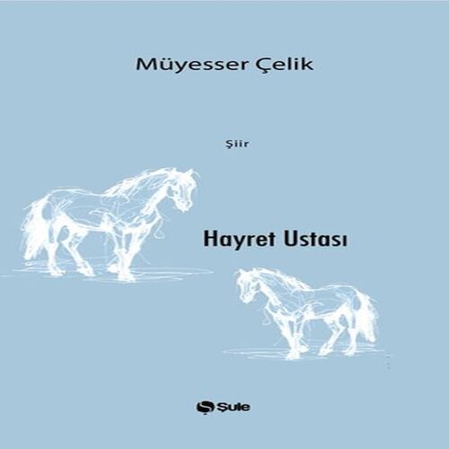 Hayret Ustası Hayret Ustası