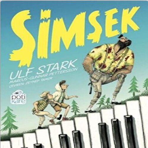 Şimşek Şimşek