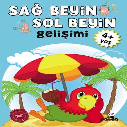 Sağ Beyin-Sol Beyin Gelişimi 4+ Yaş Sağ Beyin-Sol Beyin Gelişimi 4+ Yaş