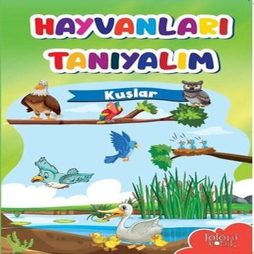 Muhteşem Çizimler ve Kolay Anlatım ile Hayvanları Tanıyalım Kuşlar Muhteşem Çizimler ve Kolay Anlatım ile Hayvanları Tanıyalım Kuşlar