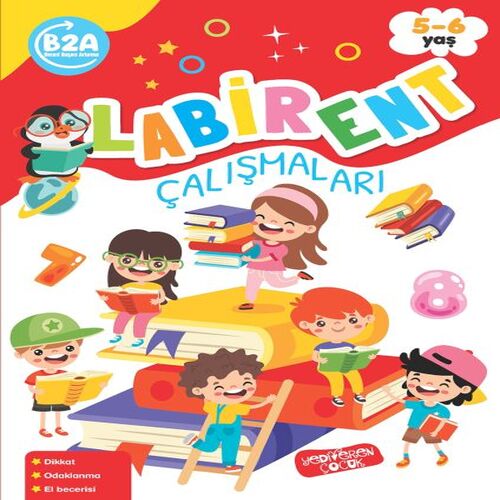 Labirent Çalışmaları Labirent Çalışmaları