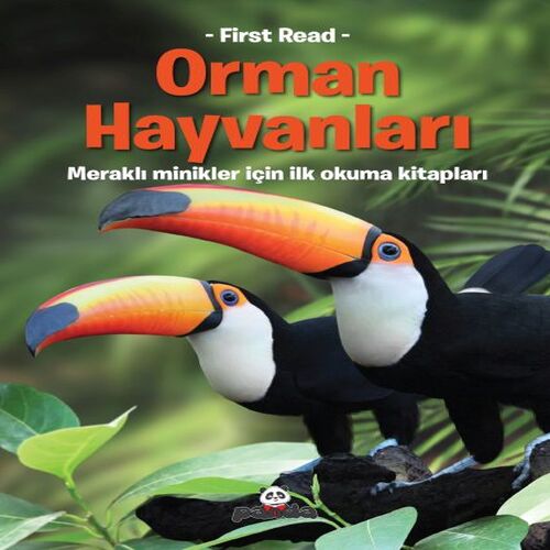 Orman Hayvanları Orman Hayvanları
