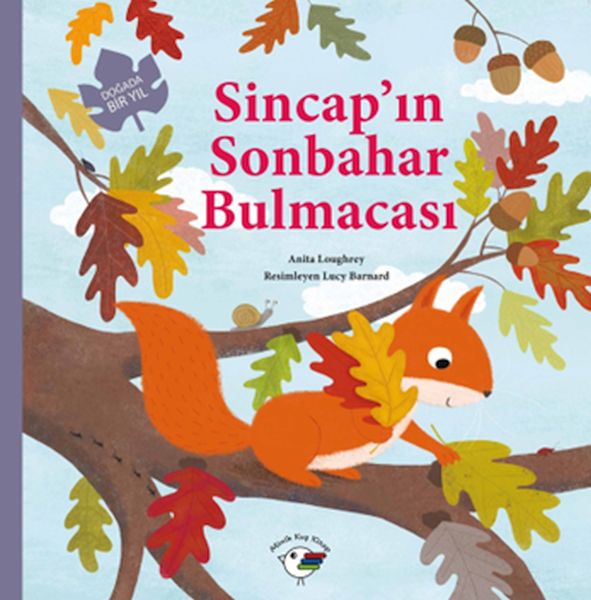 Sincap’ın Sonbahar Bulmacası – Doğada Bir Yıl Sincap’ın Sonbahar Bulmacası – Doğada Bir Yıl