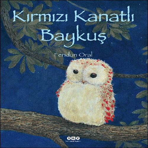 Kırmızı Kanatlı Baykuş Kırmızı Kanatlı Baykuş