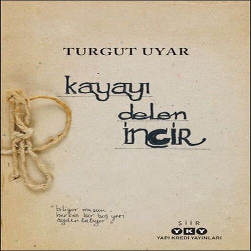 Kayayı Delen İncir Kayayı Delen İncir