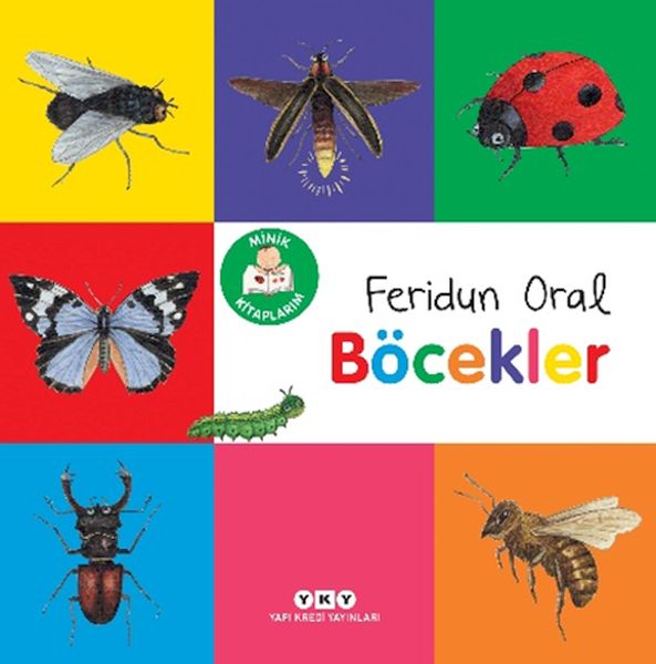 Minik larım – Böcekler