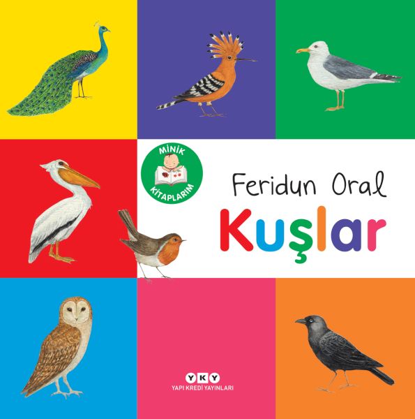 Minik larım – Kuşlar Minik larım – Kuşlar