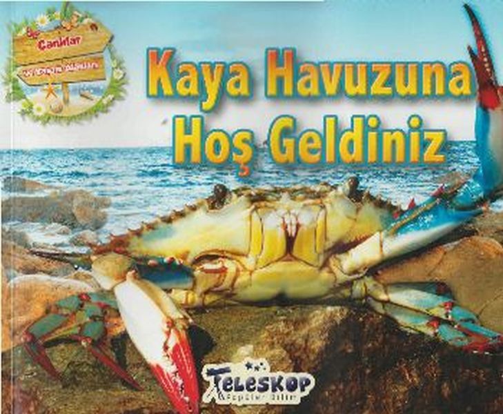 Kaya Havuzuna Hoş Geldiniz Kaya Havuzuna Hoş Geldiniz