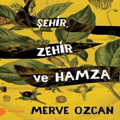 Şehir Zehir ve Hamza Şehir Zehir ve Hamza