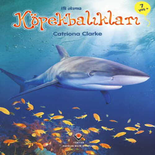İlk Okuma - Köpekbalıkları İlk Okuma - Köpekbalıkları