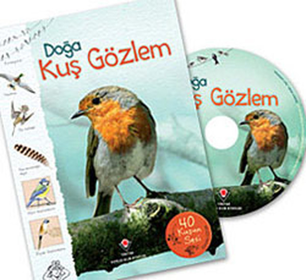 Doğa - Kuş Gözlem Doğa - Kuş Gözlem