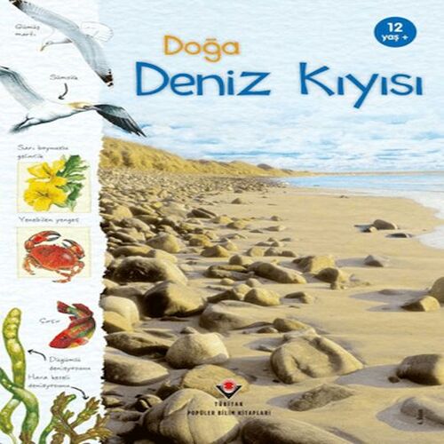 Doğa Deniz Kıyısı Doğa Deniz Kıyısı