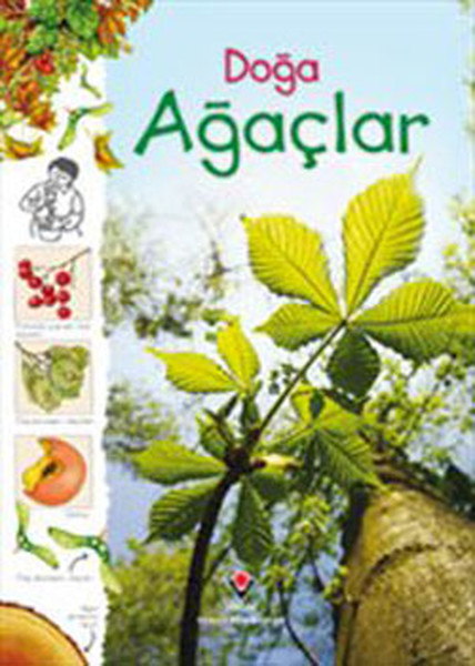 Doğa - Ağaçlar Doğa - Ağaçlar