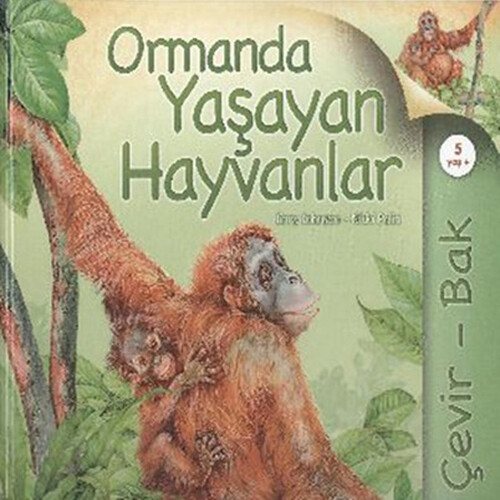 Çevir Bak Ormanda Yaşayan Hayvanlar Çevir Bak Ormanda Yaşayan Hayvanlar
