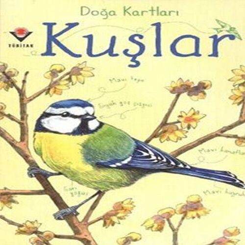 Doğa Kartları - Kuşlar Doğa Kartları - Kuşlar