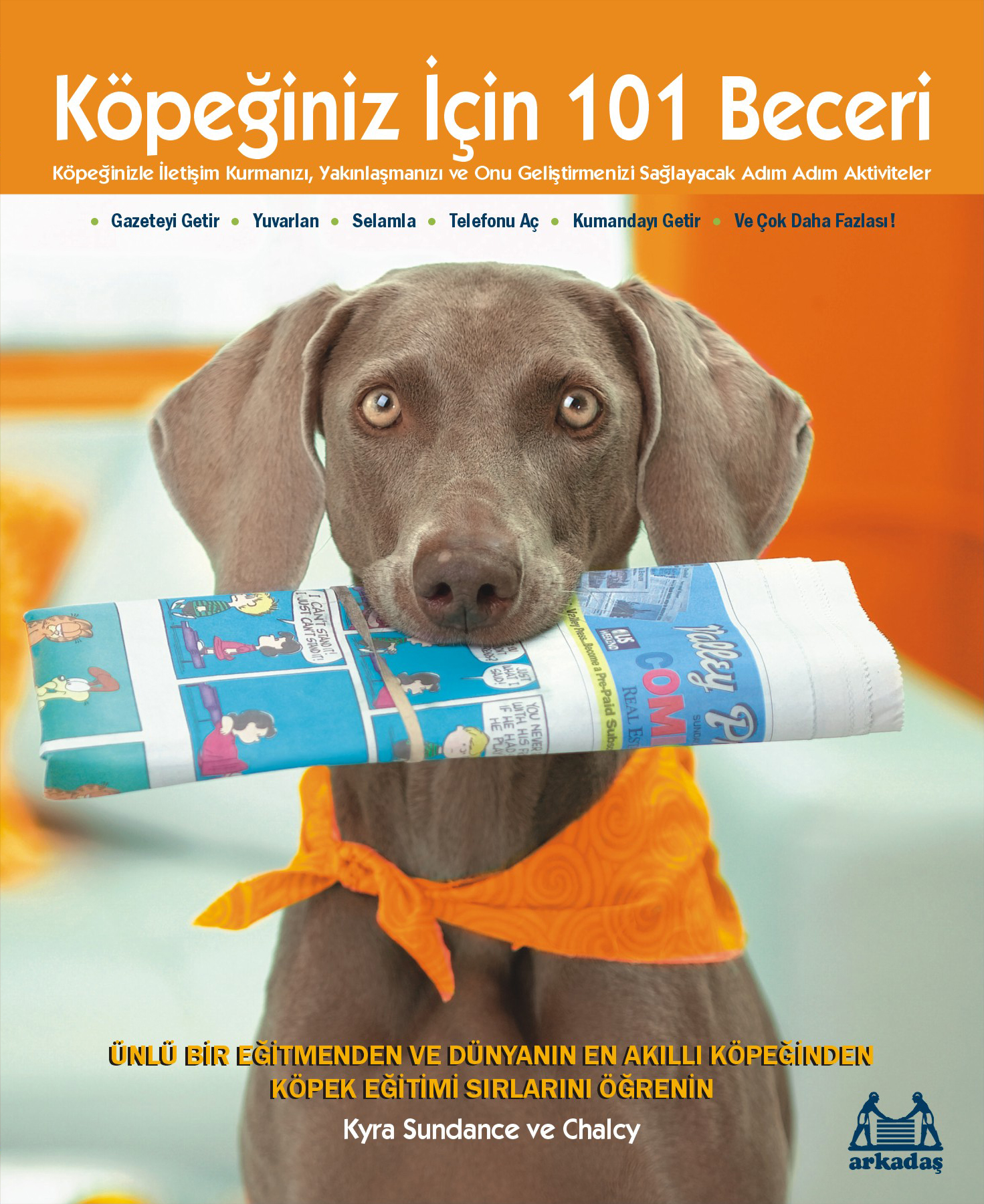 Köpeğiniz İçin 101 Beceri - Adım Adım Aktiviteler Köpeğiniz İçin 101 Beceri - Adım Adım Aktiviteler