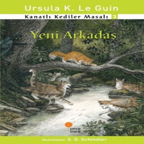 Kanatlı Kediler Masalı 3 - Yeni Arkadaş Kanatlı Kediler Masalı 3 - Yeni Arkadaş