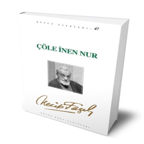 Çöle İnen Nur Çöle İnen Nur