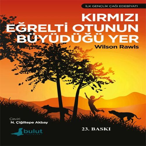 Kırmızı Eğrelti Otunun Büyüdüğü Yer Kırmızı Eğrelti Otunun Büyüdüğü Yer