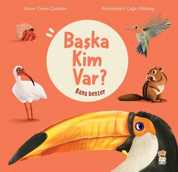 Bana Benzer - Başka Kim Var  (4022)