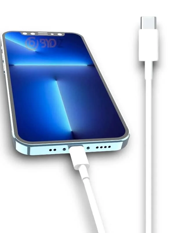 30W ŞARJ KABLOSU 30W ŞARJ KABLOSU