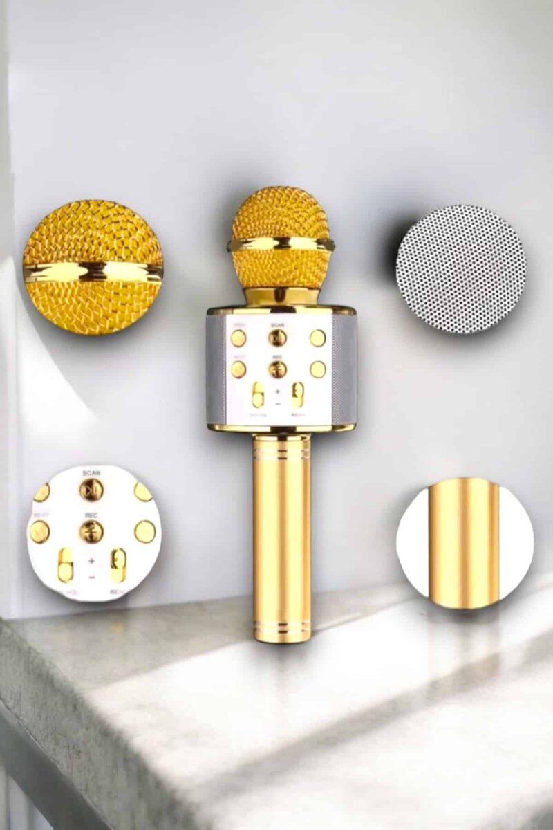 Taşınabilir Bluetooth Karaoke Mikrofon: Hafıza Kart Girişli, Etkileyici Performans Taşınabilir Bluetooth Karaoke Mikrofon: Hafıza Kart Girişli, Etkileyici Performans